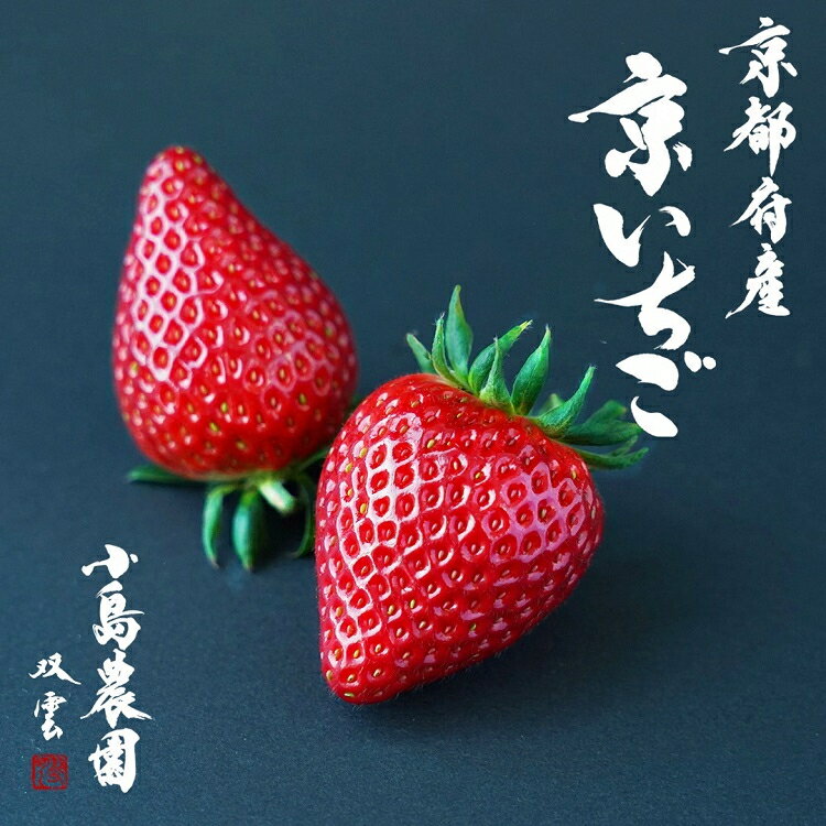 【ふるさと納税】高級 京いちご 完熟 朝採れ 1箱・2箱 約450g 約900g 小島農園 紅ほっぺ おいCベリー スターナイトから厳選してお届け≪期間限定 苺 イチゴ 旬≫※離島への配送不可 ※2025年1月中旬～5月上旬頃に順次発送予定
