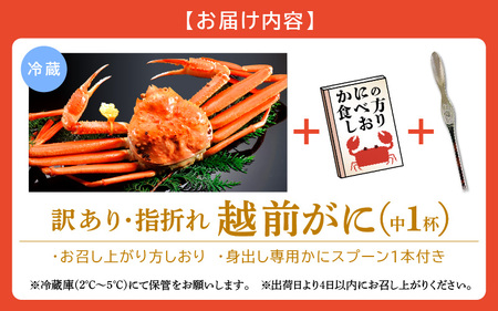 【訳あり】≪浜茹で≫指折れ 越前がに（中） × 1杯 【11月発送分】 食べ方しおり かにスプーン付き【雄 ズワイガニ ずわいがに 越前ガニ 姿 ボイル 冷蔵 福井県】希望日指定可 備考欄に希望日をご
