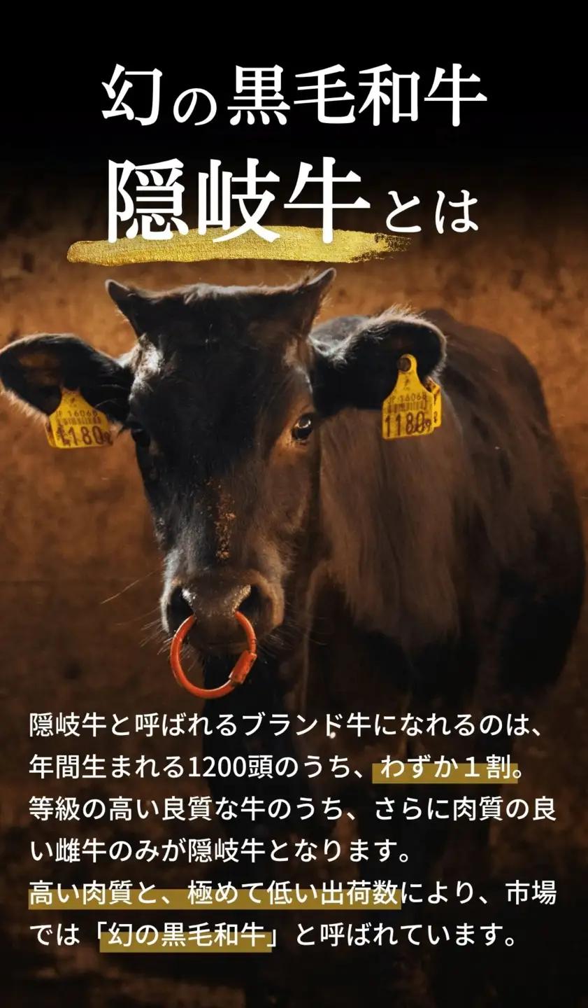 【幻の黒毛和牛 隠岐牛 上切り落とし400g】A4・A5等級 島生まれ島育ちブランド牛