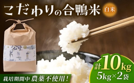 
            合鴨米 5kg×2 計10kg 【あいがもん倶楽部】 [ZAR027]
          