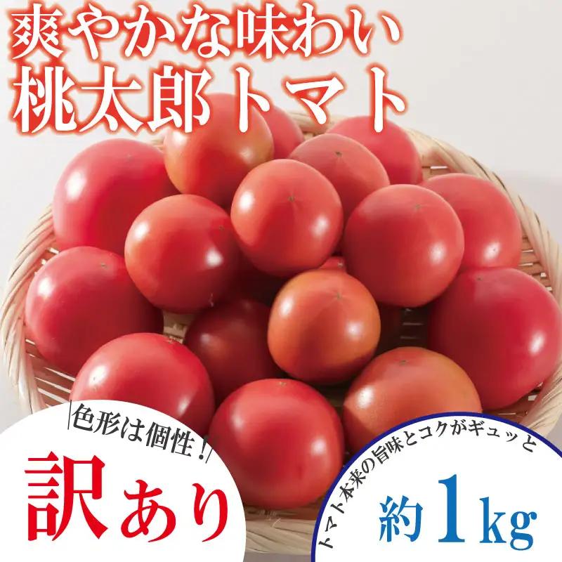 【訳あり】 【2027年4月発送】 桃太郎トマト 約1kg 先行予約 トマト