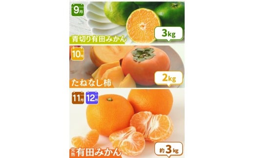 【全12回定期便】 わかやま旬のくだもの定期便 【Ｓ】 （配送日時指定不可）  / 定期便 フルーツ みかん いちご イチゴ 清見オレンジ セミノール 河内晩柑 カラマンダリン すいか 桃 ジュース 