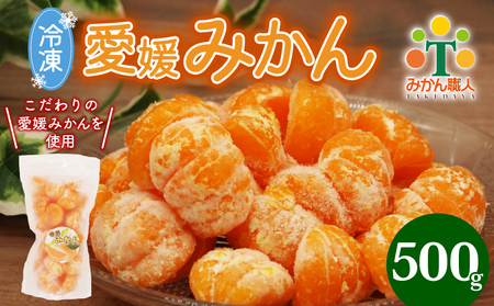 みかん職人の手掛けたこだわりみかん!外皮をむいたまるごと冷凍みかん　500g(500g×1袋)【配送不可地域：離島】【1680289】