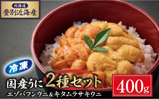 登別近海産冷凍 エゾバフンウニ&キタムラサキウニ 2種食べ比べセット（パック詰）400g ※6月以降順次配送[mh-0698]