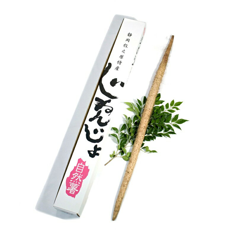 【ふるさと納税】 074-6　丁子屋が選んだ自然薯　台地のご馳走（500g 〜 3kg） 選べる 容量 静岡県 牧之原市