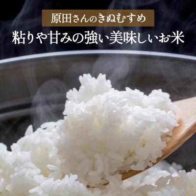 ふるさと納税 倉吉市 【新米】【在庫限定】令和7年産米 原田さんのきぬむすめ 5kg (原田農園)数量限定 15G021 |  | 01