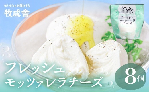 牛乳屋がていねいに作ったフレッシュモッツァレラチーズ 8個 チーズ モッツァレラチーズ チーズセット 冷蔵 小分け 個包装 パスタ ピザ 前菜 サラダ 低温殺菌 乳製品 飛騨市 日用品 日時指定可 15000円  HIDAミルクプロジェクト