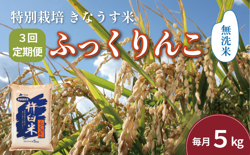 
            【無洗米3ヶ月定期便】特別栽培「きなうす米」ふっくりんこ5kg×3回　J035
          