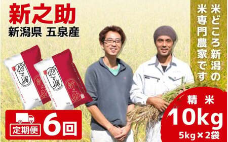 【令和7年産米】〈6回定期便〉「わくわく農場」の五泉産 精米 新之助 10kg(5kg×2袋) |五泉市 新之助