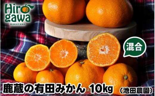 鹿蔵の 有田みかん 家庭用 わけあり 10kg+250g(痛み補償) サイズ混合 (2S〜2L) 先行予約 光センサー選果　※北海道・沖縄・離島への配送不可 / 温州みかん 痛み補償 果物 フルーツ くだもの 【ikd004-cm-10-nov】