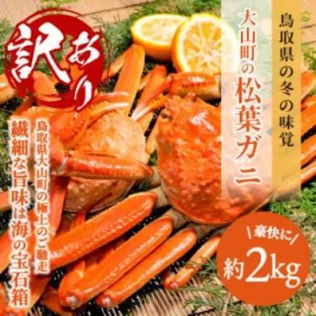【2027年1月以降順次発送】[冷凍]訳あり松葉ガニ約2kg詰め合わせ　OM-13-2【配送不可地域：離島】【1745618】
