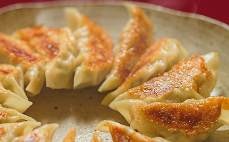 餃子 生餃子 ファミリーセット(55個入り) [ANHL004] 餃子