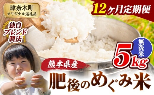 【12ヶ月定期便】無洗米 熊本県産 ブレンド米 肥後のめぐみ米 5kg 熊本県産 ふるさと納税 精米 米 こめ ふるさとのうぜい コメ お米 おこめ《お申込み翌月から出荷》