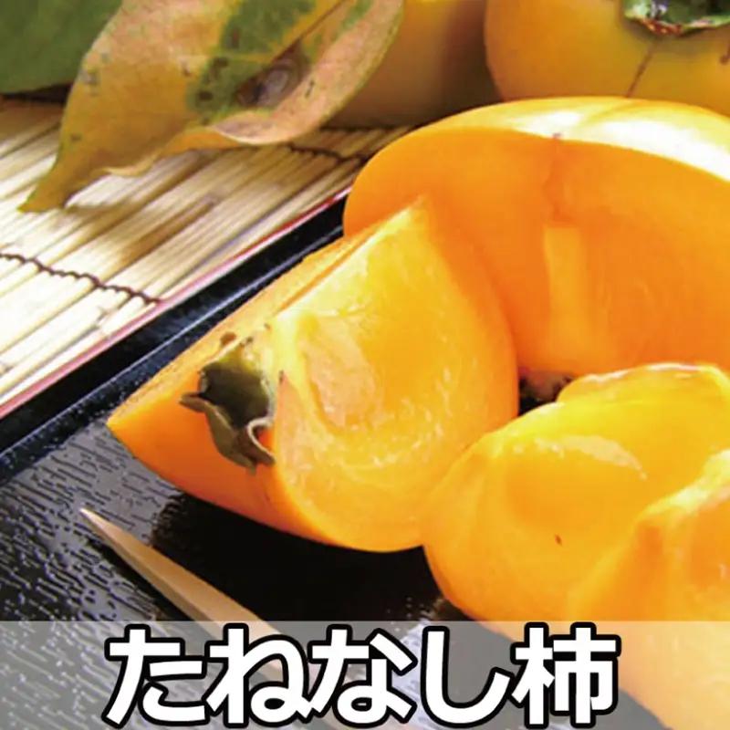 採れたてタネなし柿“Lサイズ”7.5kg＜2026年10月中旬～10月下旬頃発送予定＞【art001A】