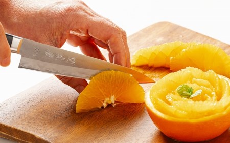 TBS「ララLIFE」で紹介されました(R5.5)　H25-114 関虎徹 V金10号 ペティナイフ 135mm【飛騨・美濃すぐれもの認定品】（YG303/安田刃物）