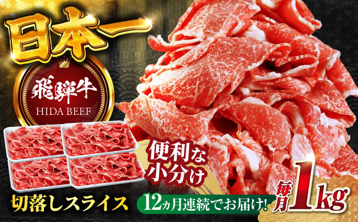 
            【12回定期便】 飛騨牛 切り落とし 1kg（250g×4P）すき焼き 焼肉 小分け 岐阜市 / 丸福商店 [ANBO050]
          