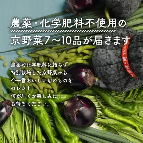 【12回定期便】旬の京野菜セットＳ 野菜【アスカ有機農園】