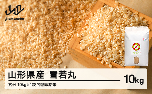 【先行予約】新米 雪若丸 玄米 10kg 配送時期選べる 1月前半発送 令和8年産 2026年産 山形県産 ※沖縄・離島への配送不可 on-ywgxb10-1f