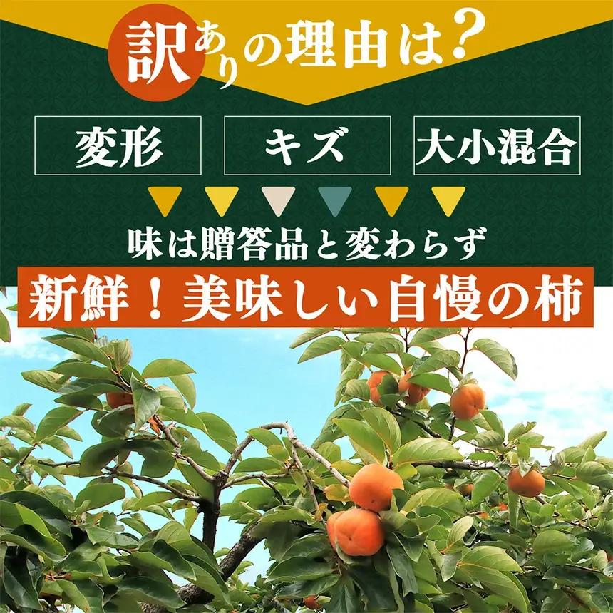富有柿 わけあり！約1.5㎏ | 大容量 家庭用 奈良県 五條市