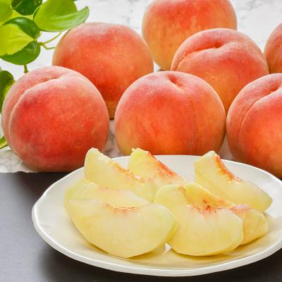 ふるさと納税 中野市 【発送月固定定期便】中野市の糖度13度保証の桃2.1kg以上とシャインマスカット2房1kg以上全2回 |  | 01