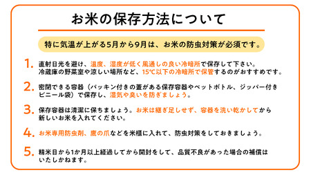 〈令和7年産〉 定期便 3ヵ月連続お届け ゆめぴりか＆ななつぼし 食べ比べ 各5kg 計10㎏ 精米 北海道 共和町 共和町米生産友の会 ※沖縄・離島への配送不可