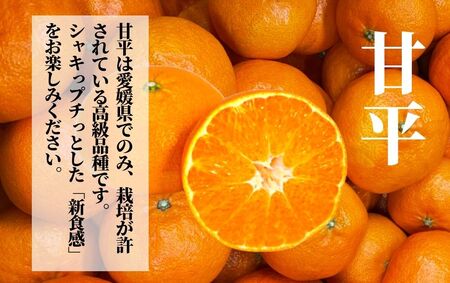 【甘平】約2.8ｋｇ（良品） ＜2月頃発送 ＞ みかん ブランド 柑橘 フルーツ 果物 愛媛 松山【PT038_x】