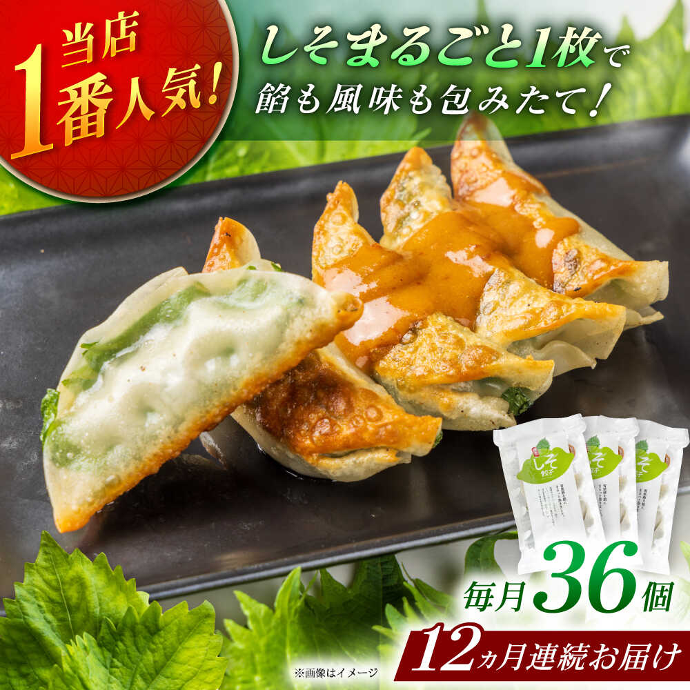 【ふるさと納税】【全12回定期便】【3パック】餃子屋ヒロの 人気のしそ餃子【餃子屋ヒロ】開成町 餃子 点心 惣菜 冷凍[BDAS012]