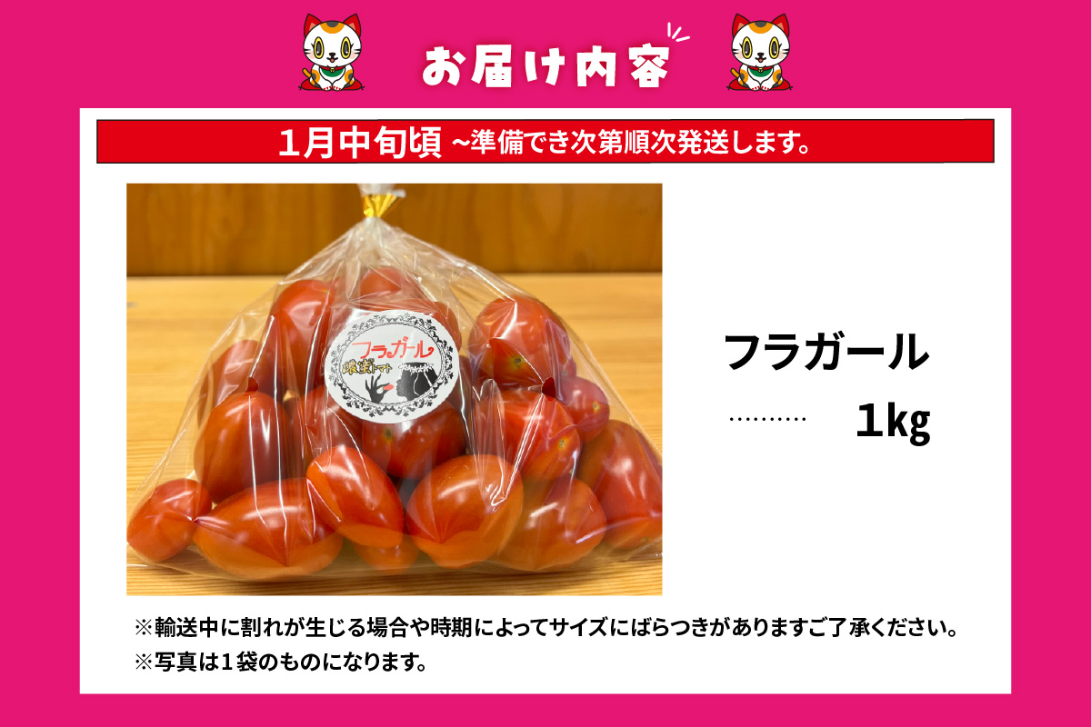 【先行予約】【2027年1月中旬以降発送】フルーツトマト　フラガール1kg（へたなし）