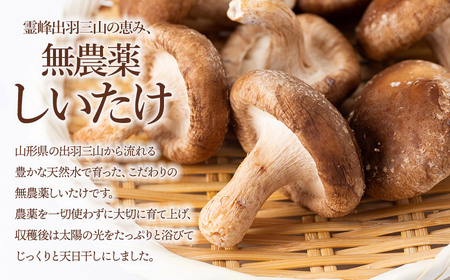 羽黒産 乾燥しいたけ 60g(12g×5)　山形県鶴岡市 農事組合法人 庄内おばこ農場 K-710