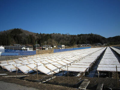 山岡細寒天 500g（1袋）/ 寒天 かんてん 細寒天 / 恵那市 / 岐阜県寒天水産工業組合 [AUBD002]