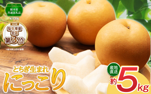 【2026年先行予約】にっこり 梨 5kg【栃木県共通返礼品】栃木県 下野市
