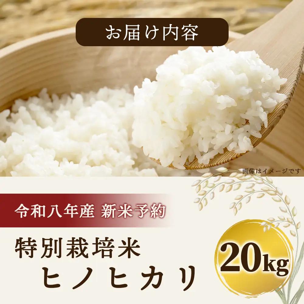 【令和8年産 新米予約】特別栽培米「ヒノヒカリ」20kg 114-0603