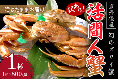 【訳あり！！幻のズワイ蟹】　京丹後産　活間人蟹　鮮度抜群、活きたままお届け！！ 800g級（足1本落ち）×1杯
