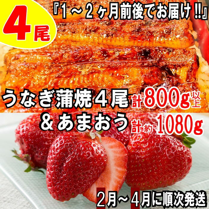 【ふるさと納税】うなぎの蒲焼4尾＆いちごの王様あまおう1080g【新宮町ミラクルセット】 鰻 たれ 山椒 苺 高級 フルーツ【北海道・沖縄・離島へ配送不可】 .BD018