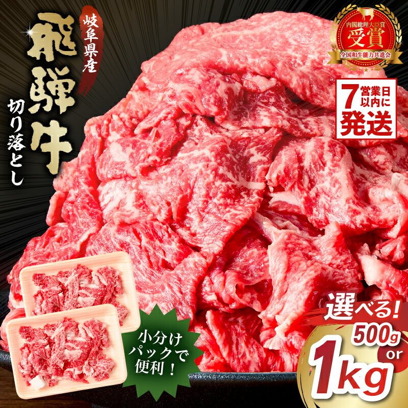 【ふるさと納税】 【容量が選べる】飛騨牛 切り落とし 岐阜県 可児市 牛肉 肉 ブランド牛 ブランド 和牛 国産 サーロイン ロース肉 赤身肉 バラ肉 カレー シチュー 牛丼 肉じゃが お取り寄せ グルメ 送料無料