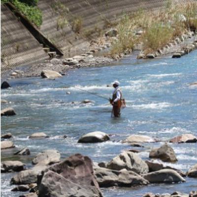 ふるさと納税 北川村 【令和8年6月より発送】天然あゆ　6匹 |  | 03