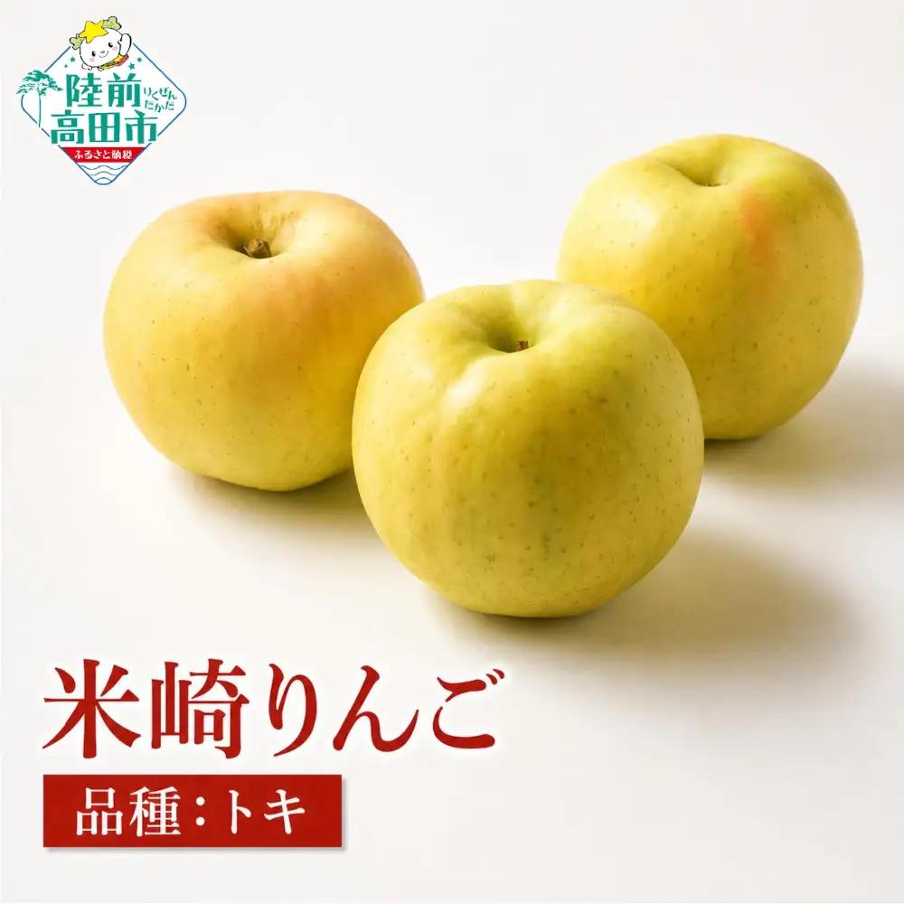 りんご トキ 約5kg 果物 米崎りんご マルキヨファーム