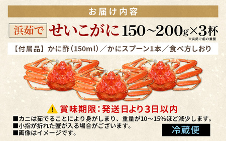 ≪浜茹で≫ 越前 せいこがに 150～200g × 3杯【雌 ズワイガニ】【カニ かに 蟹 越前ガニ セコガニ カニみそ】かに酢・かにスプーン・食べ方のしおり付 【11月発送分】希望日指定可 備考欄に