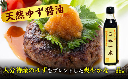最高級 味噌醤油醸造元「日田醤油」 調味料 ギフト 3種セット 大分県 日田市 調味料 [ARAJ014]