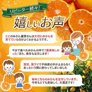 【先行予約】薄皮で濃い甘さ！完熟由良みかん【秀】3kg×1箱（混サイズ）和歌山県由良産※2025年11月下旬頃から順次発送予定(お届け日指定不可) / 柑橘 ミカン 蜜柑 甘い 由良町 フルーツ 果物