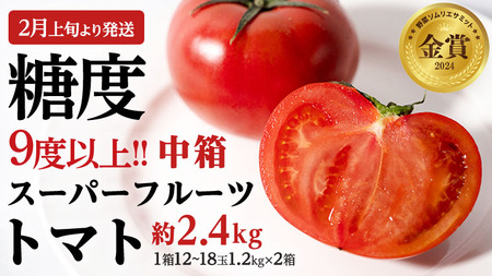 糖度9度以上 トマト 【 2025年収穫分 先行予約 】 スーパーフルーツトマト 中箱 約1.2kg × 2箱 （12～18玉/1箱）糖度9度以上 フルーツトマト トマト 2025年2月上旬発送開始 数量限定 とまと 野菜[BC014sa]