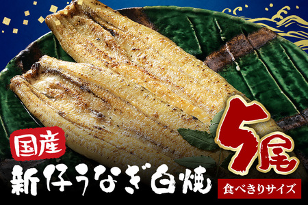 食べ切りサイズ! 国内産 うなぎ 白焼 ( 酒蒸 ) 100～120g 5尾 計500g以上 ふっくら 柔らか 鰻本来の旨味 ワサビ醤油 蒲焼のタレ 山椒付き 湯煎 簡単調理 贈答用 ギフト 冷蔵配送 国産 茨城県 潮来市 (027-0212)