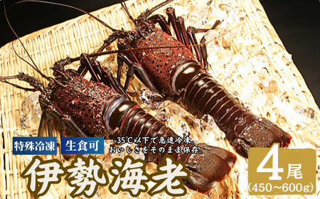 【 伊勢海老 】 伊勢海老 4尾