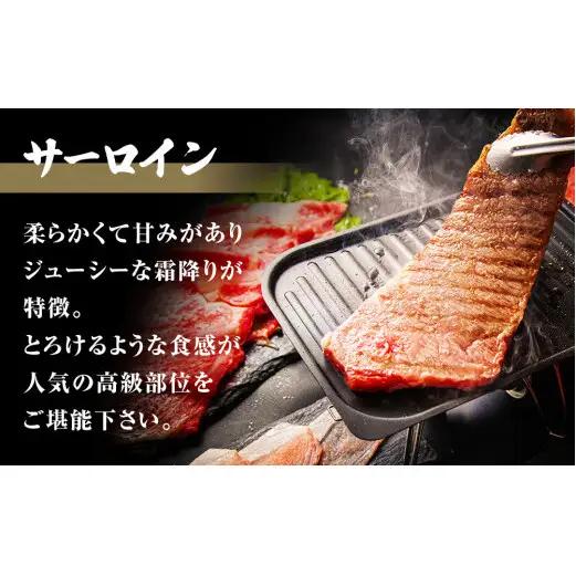 特選 仙台牛 “極” 合計4kg前後 フィレ シャトーブリアン サーロインステーキ 霜降りA5 B5 和牛 黒毛和牛 父の日 宮城県 石巻市