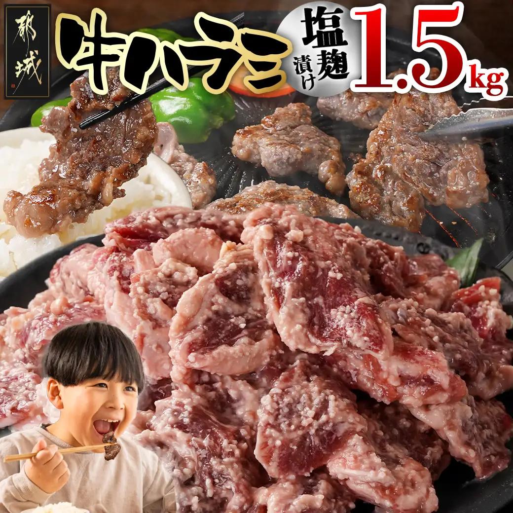 牛ハラミ 塩麹タレ漬け1.5kg〔14J-33-025-1500g〕_(都城市)  味付き 牛肉 真空 小分け
