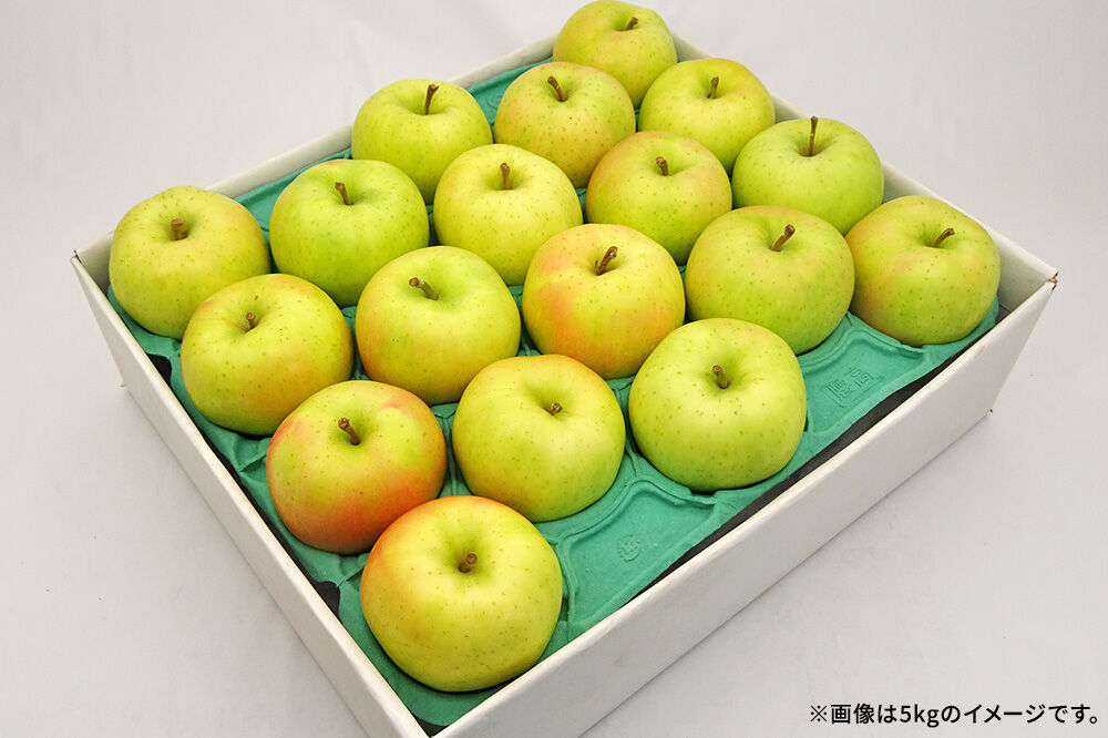 【26年10月発送】りんご トキ【良品】約10kg キタエアップル 青森県 弘前市 [先行予約 トキ りんご 贈り物 アップル おいしい 果実 果物 黄色 美味 林檎]