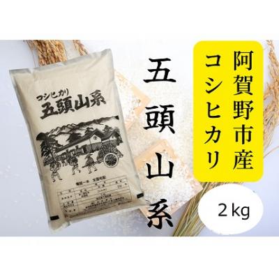 ふるさと納税 阿賀野市 【令和7年産新米】「米屋のこだわり阿賀野市産」コシヒカリ2kg