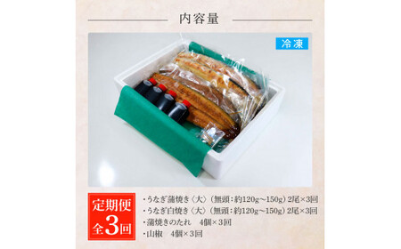 うなぎの蒲焼き(大)+白焼き(大) 各2尾×3回 定期便 3ヶ月 定期コースタレ付き 山椒付き