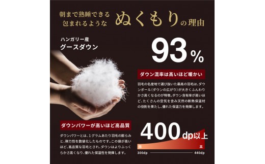 羽毛肌掛けふとん（クイーン）ハンガリー産グース93％【創業100年】 夏用 羽毛布団 掛け布団 クイーン 寝具 肌掛け 山梨 富士吉田