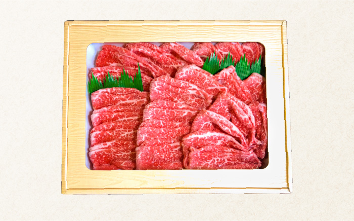 長崎和牛 もも肉 400g  / 南島原市 / はなぶさ [SCN015]